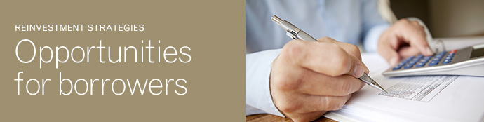 Reinvestment Strategies